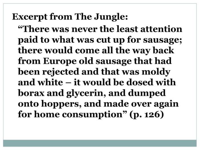 The jungle upton sinclair excerpt