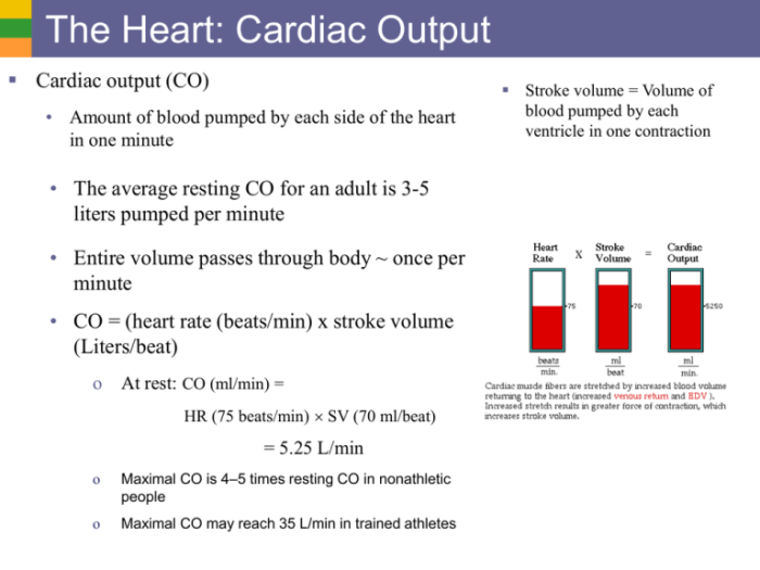 Select the correct statement about cardiac output.