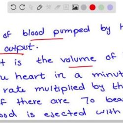 Cardiac volume ppt