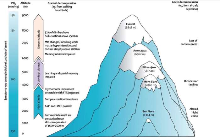 At high altitudes an excessively rich mixture will cause the