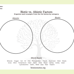 Abiotic vs biotic factors worksheet answer key