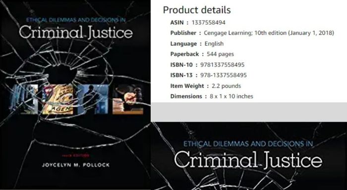 Ethical dilemmas and decisions in criminal justice 10th edition