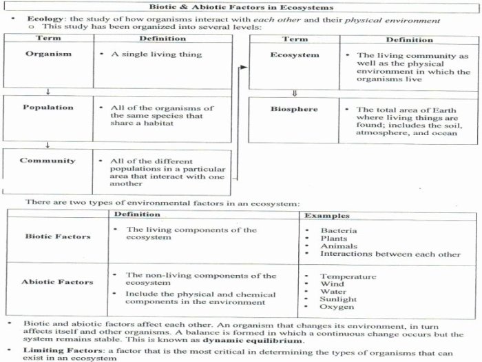 Abiotic vs biotic factors worksheet answer key