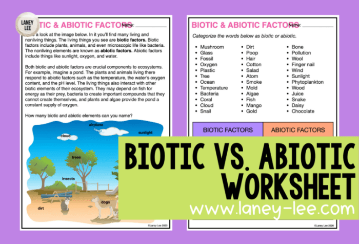 Abiotic vs biotic factors worksheet answer key