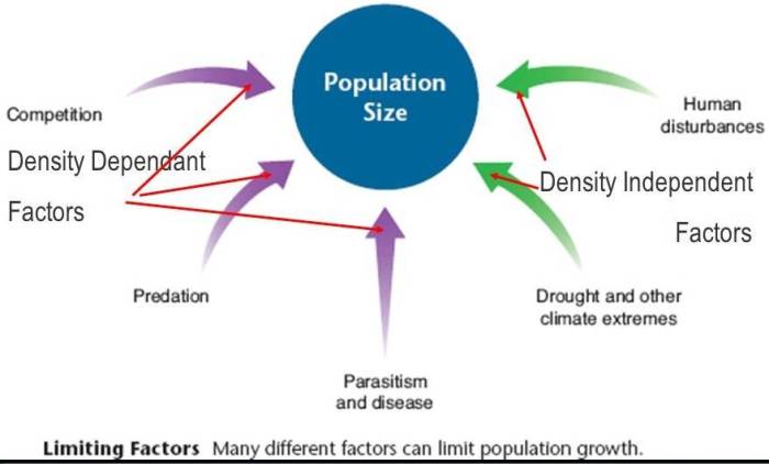 What type of population density dependence focuses on abiotic factors